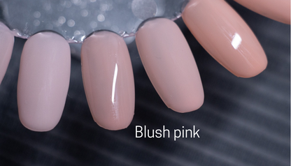 Basic french tip