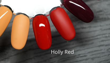 Basic b | joulusävyt 25